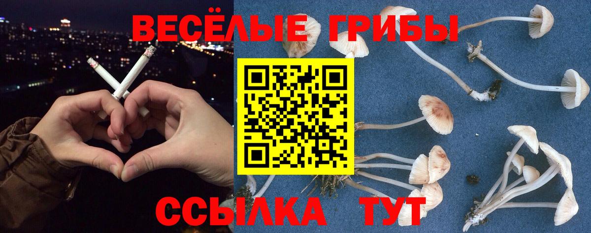 Галлюциногенные грибы Magic Shrooms Сергиев Посад